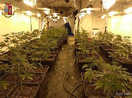 A Canelli la cascina trasformata in grande serra per coltivare marijuana