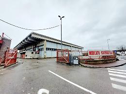 Ex Mercato Ortofrutticolo: com'&egrave; finita la vendita all'asta del 4 dicembre scorso?