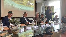 Alfiano Natta: il Monferrato diventa terra d&rsquo;olio, numeri in crescita