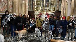 La parrocchia di Santa Caterina ospita la messa di benedizione degli animali