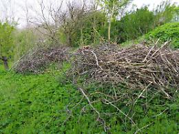 &laquo;I sindaci devono poter decidere deroghe sul divieto di bruciare ramaglie&raquo;