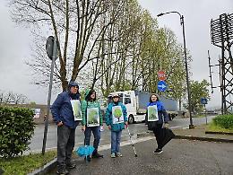 Nuovo supermercato Lidl, si riaccende la battaglia degli ambientalisti per "vendicare" i sette platani abbattuti