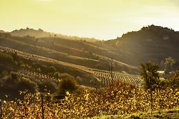 Castelnuovo Don Bosco raccontato da GRP Piemonte