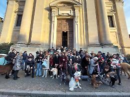 Benedizione degli animali