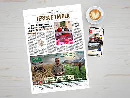 Eccellenze in vetrina: torna &ldquo;Terra e Tavola&rdquo; tra tradizioni, sfide di mercato e nuovi sapori