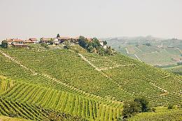 Paesaggi vitivinicoli Unesco, alla BIT di Milano il nuovo piano per il futuro del territorio
