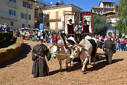 Cocconato inaugura un 2026 ricco di sagre, musica e tradizioni