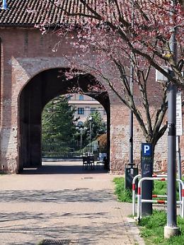 Avvocato aggredito  a pugni fuori dal tribunale