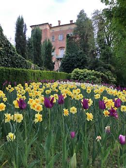 Narciso incantato al Castello di Piea