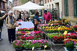 La 25esima edizione di "Ortogiardinovino & dispensa" festeggia tra grande presenza di pubblico