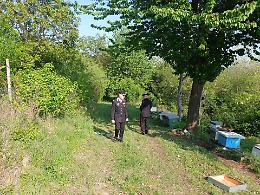 Cossombrato, trovate morte tre persone: ecco chi sono. Un caso di omicidio-suicidio? 