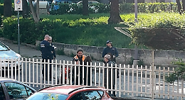 Anziano di 93 anni investito nella zona ovest della citt&agrave;