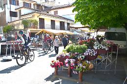 Torna sabato la 23&ordf; fiera di San Marco a Cocconato