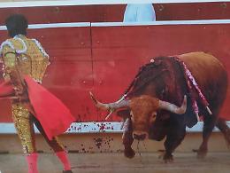 Mostra contro le corride ricordando il Papa che le viet&ograve; quasi 500 anni fa