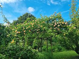 Alla scoperta del "Giardino segreto di Arianna", il 17 maggio torna l'appuntamento con il Fai