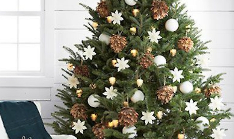 Come far sopravvivere l'abete di Natale alle feste