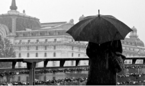 Sciame di insetti e T-Shirt