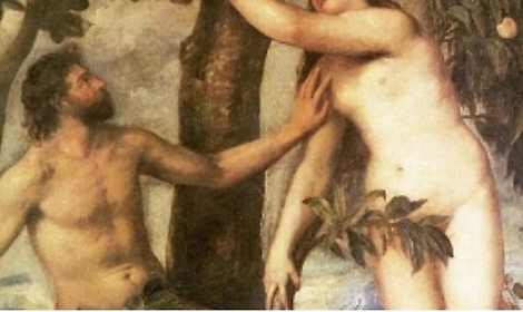 Sar&agrave; responsabilit&agrave; di una costola?