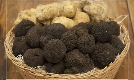 tartufo-nero-tartufo-bianco