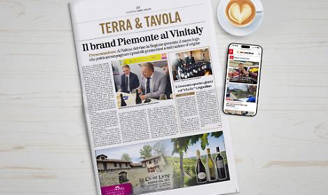 Mockup Terra e tavola