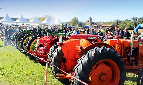 festacontadinareport