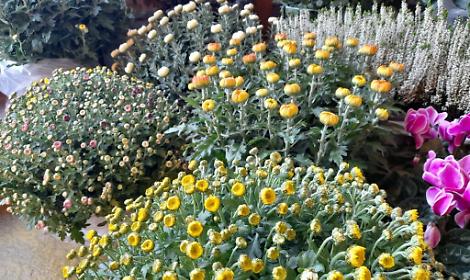 WhatsApp Image at ()