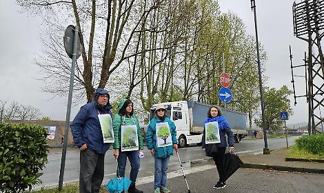 La protesta degli ambientalisti per i sette platani