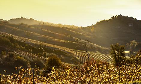 Castelnuovo Don Bosco raccontato da GRP Piemonte