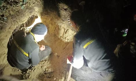 Vigili del Fuoco di Asti salvano cane setter Mila