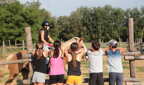 Le fattorie didattiche diventano "ponte" tra giovani e agricoltura