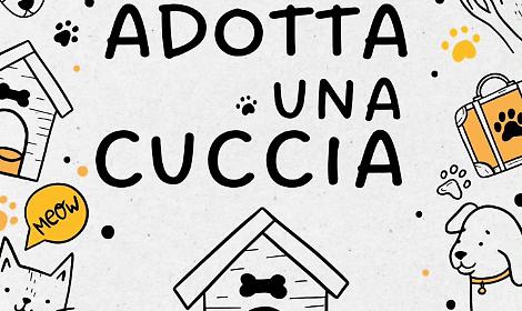 &ldquo;Adotta una cuccia&rdquo;: a Montegrosso un gesto per migliorare la qualit&agrave; di vita dei cani in attesa di una famiglia