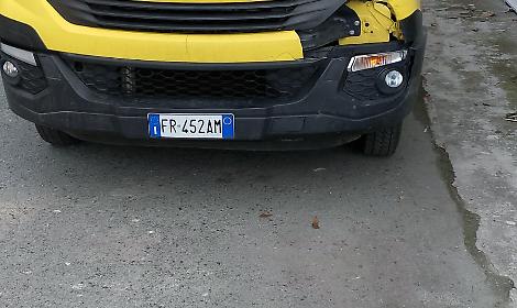 Un capriolo "salta" sulla strada e si scontra con uno scuolabus