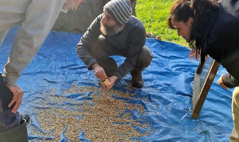 Un sacco di semi al mulino Polleri Balocco: biodiversit&agrave;, scambio e sapori contadini