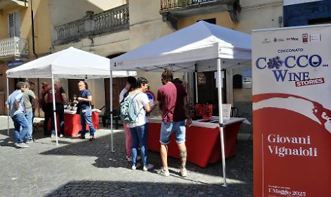 Cocco wine stories a Cocconato: messaggi in bottiglia tra giovani vignaioli, Piwi e vini orange