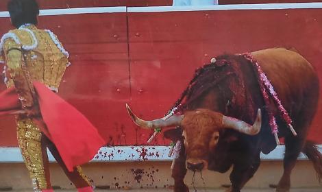 Mostra contro le corride ricordando il Papa che le viet&ograve; quasi 500 anni fa