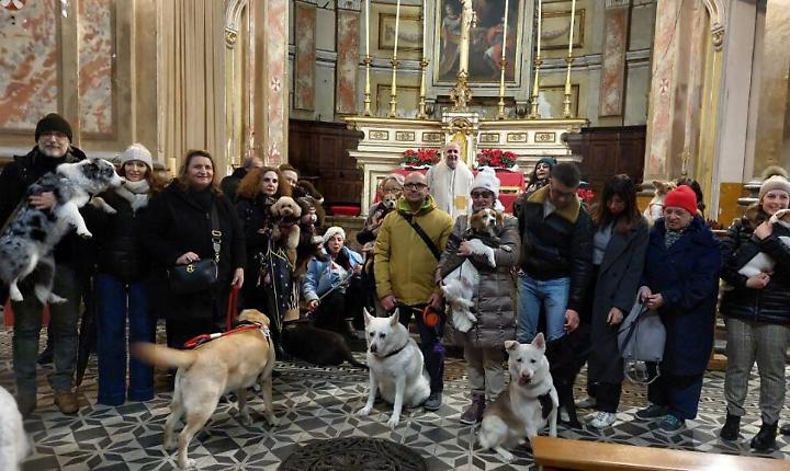 La messa di benedizione degli animali a Santa Caterina