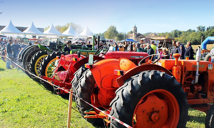 festacontadinareport