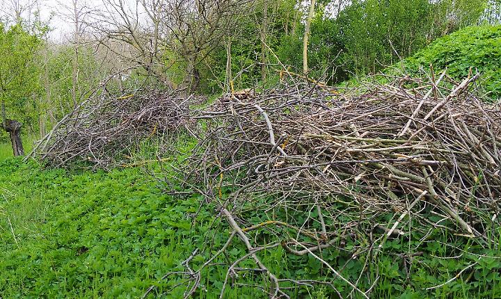 &laquo;I sindaci devono poter decidere deroghe sul divieto di bruciare ramaglie&raquo;