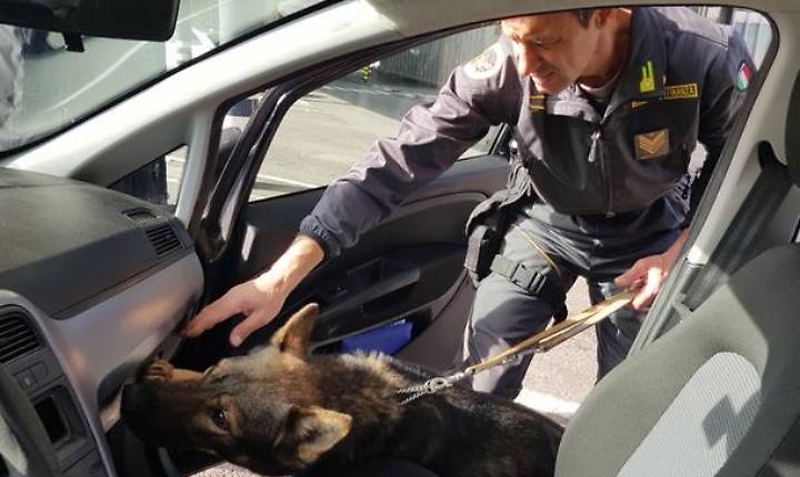 Usati anche i "cash dog" per il sequestro di 2 milioni e mezzo di euro ad una famiglia rom