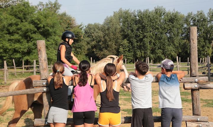 Le fattorie didattiche diventano "ponte" tra giovani e agricoltura