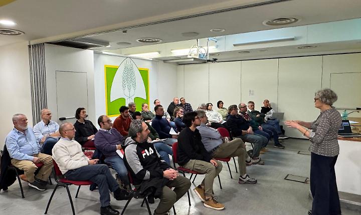 Il parassita che resiste all'inverno: Coldiretti spiega come difendere le serre dalla Tuta absoluda