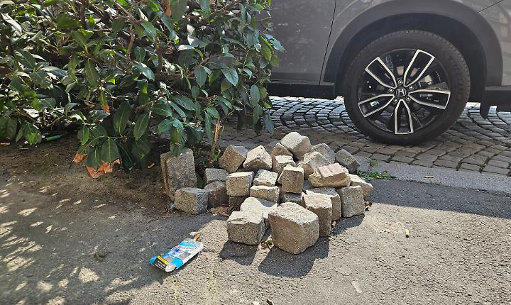 Porfido "falcidiato" e siepi diventate discariche, Ambiente Asti interpella su corso Torino