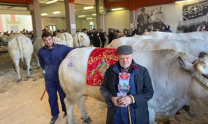 La famiglia Merlo custode della tradizione salumiera piemontese