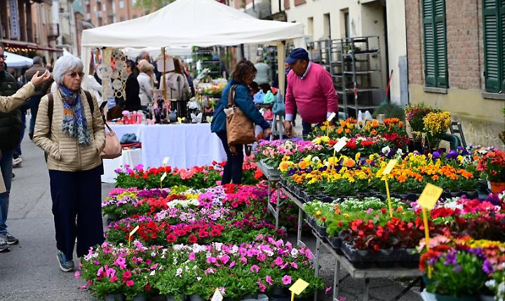La 25esima edizione di "Ortogiardinovino & dispensa" festeggia tra grande presenza di pubblico