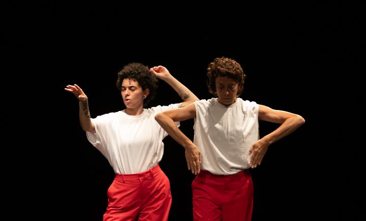 "Monumentum DA", quando la danza dialoga con la limgua dei segni