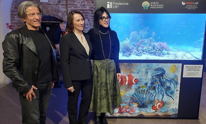 Museo Paleontologico, inaugurato il nuovo allestimento nella sala dell'acquario