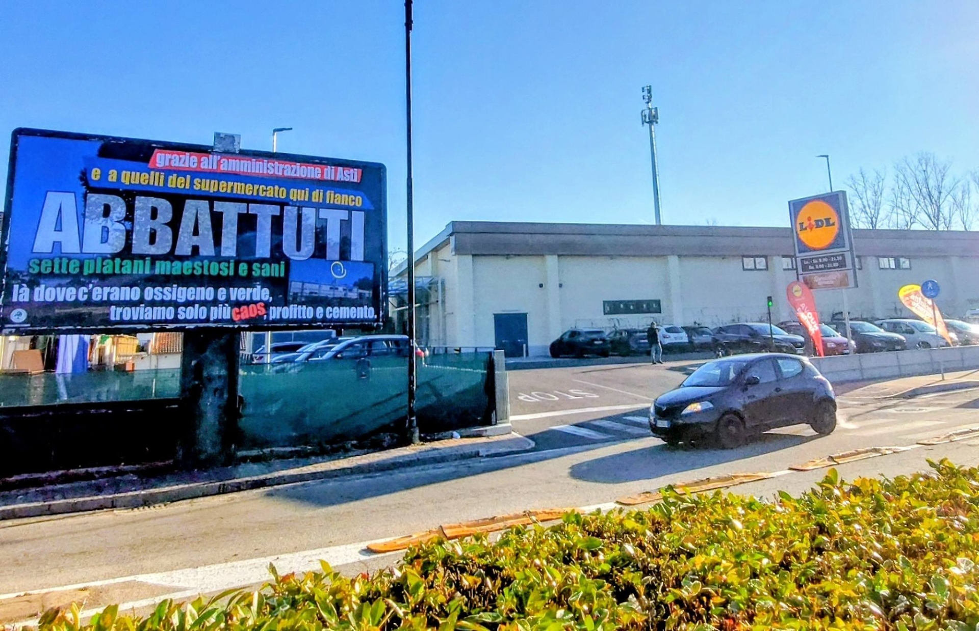 Flash mob per ricordare i sette platani di corso Savona