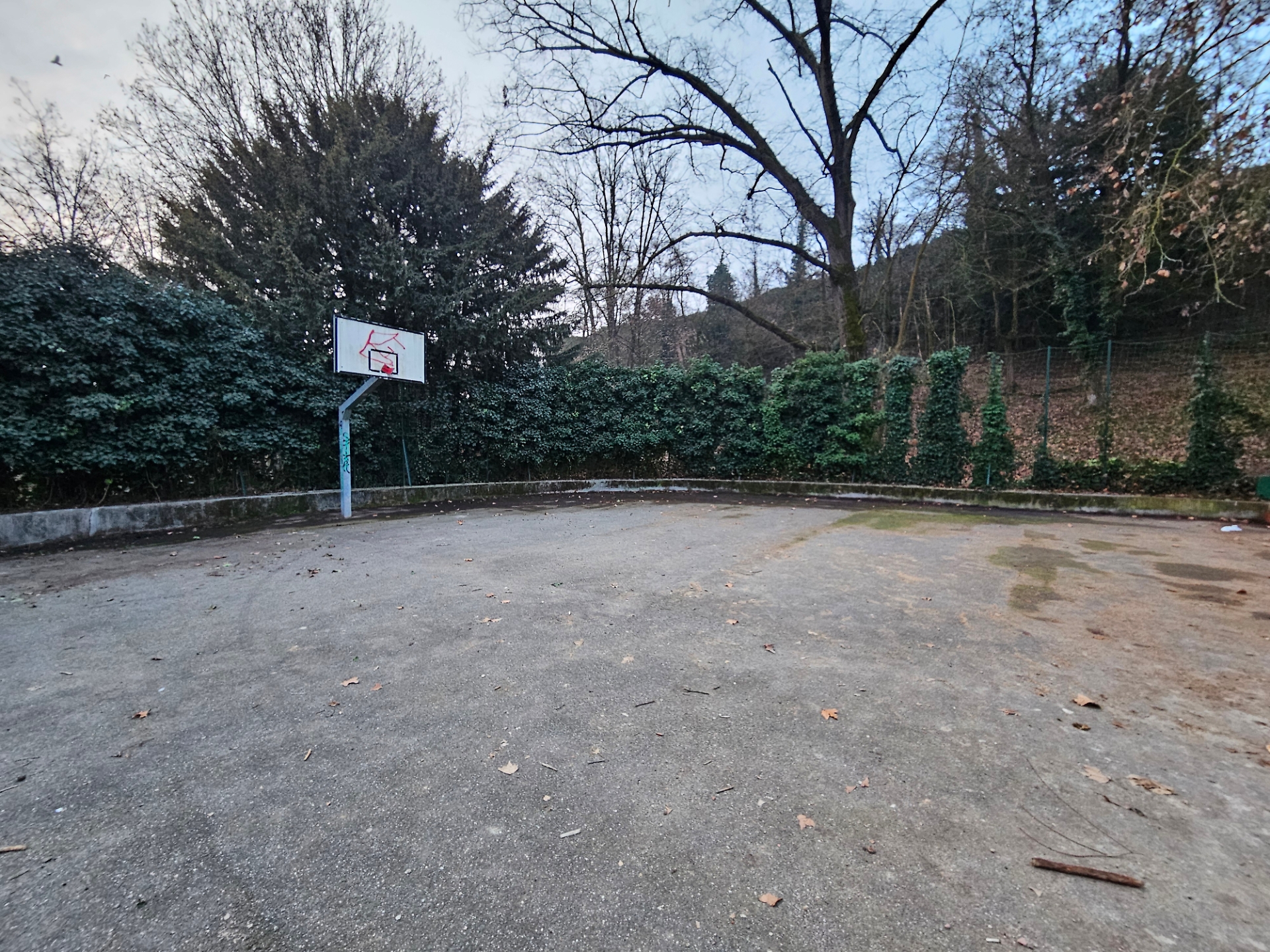 Il campetto da basket al Bosco dei Partigiani