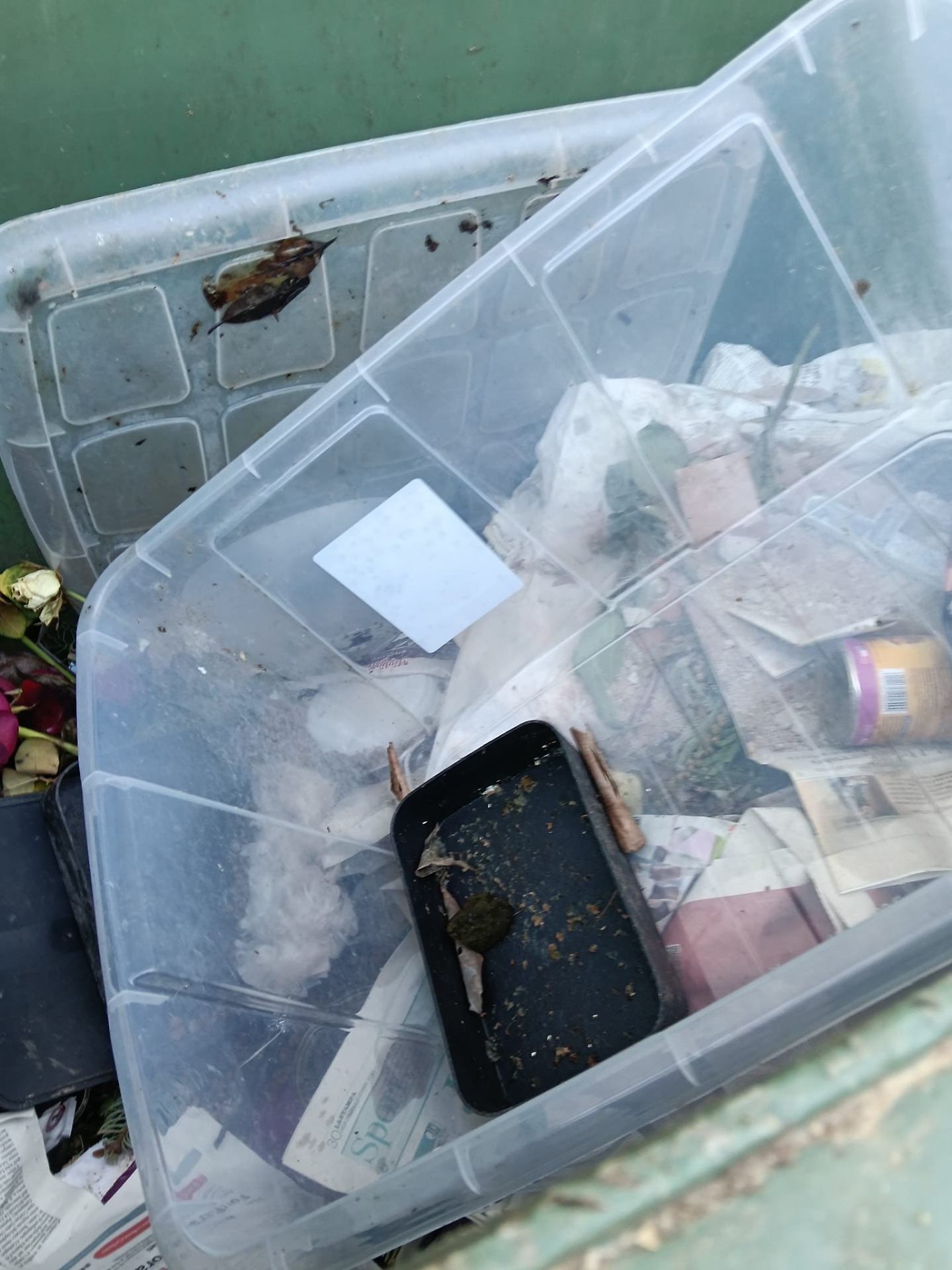 Postazione cibo nel bidone