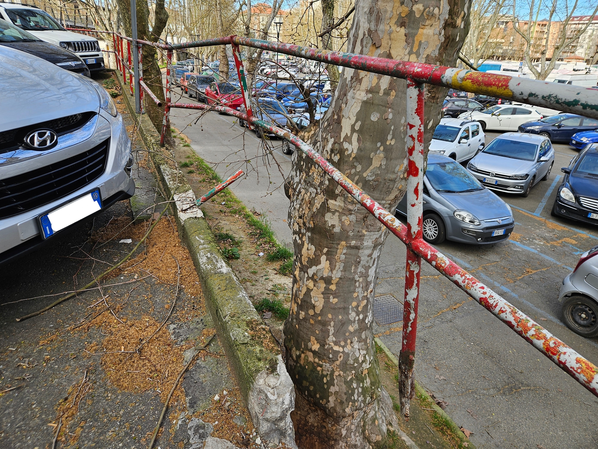 scalinata piazza del palio